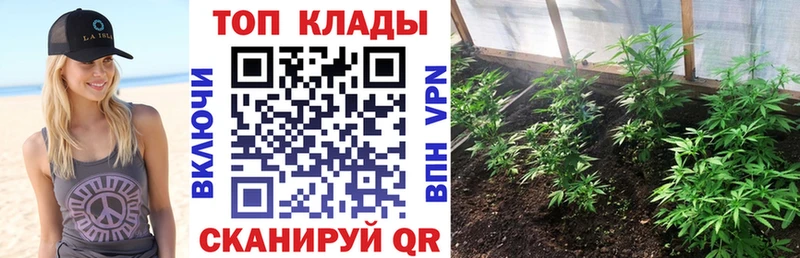 Магазины продажи наркотиков Аксай Псилоцибиновые грибы  Метадон  ГАШ  Меф мяу мяу  Cocaine  АМФ 