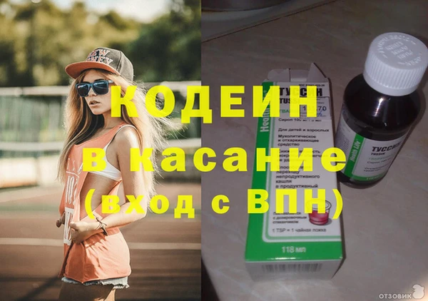 шишки Абинск