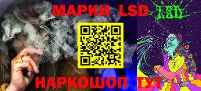 дурь Майкоп