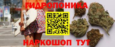 дурь Майкоп